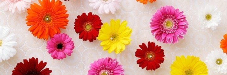 urokkouro's profile banner image