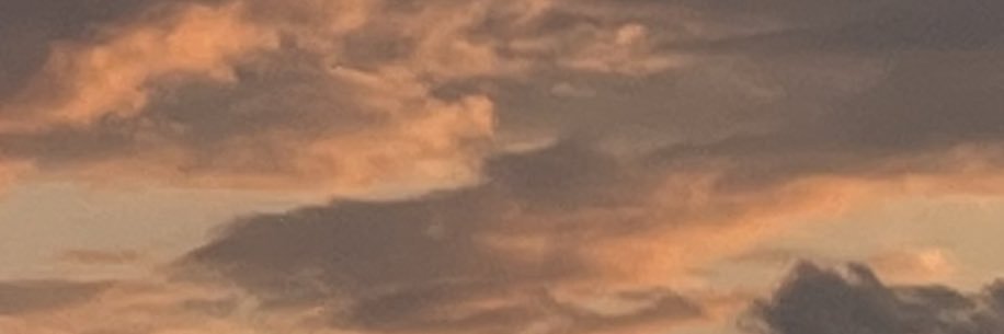 shannonn______'s profile banner image