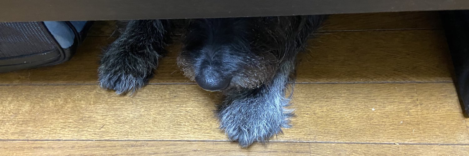 鳳凰めだか【旧まっぽん】 banner