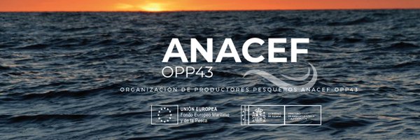 Anacef43 Profile Banner