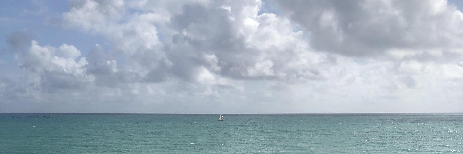 StevenLadin's profile banner image
