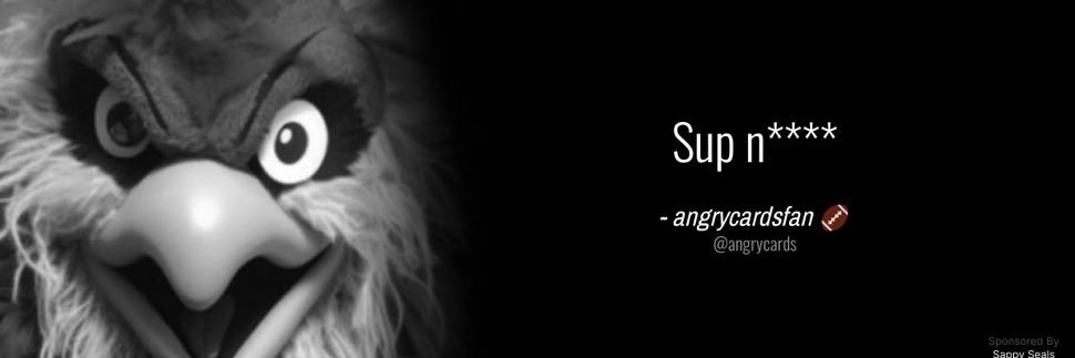 angrycardsfan 🏈 banner