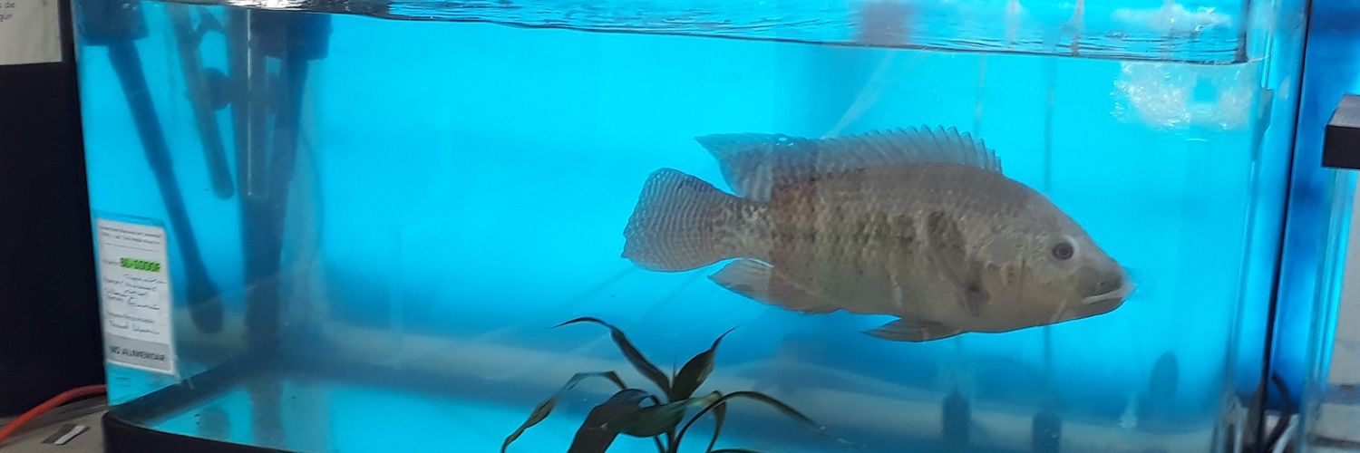 Jaime Fernando González Mantilla 🐟🐠🐡 banner