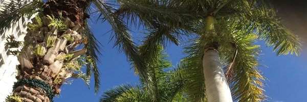 WMuntzen Profile Banner