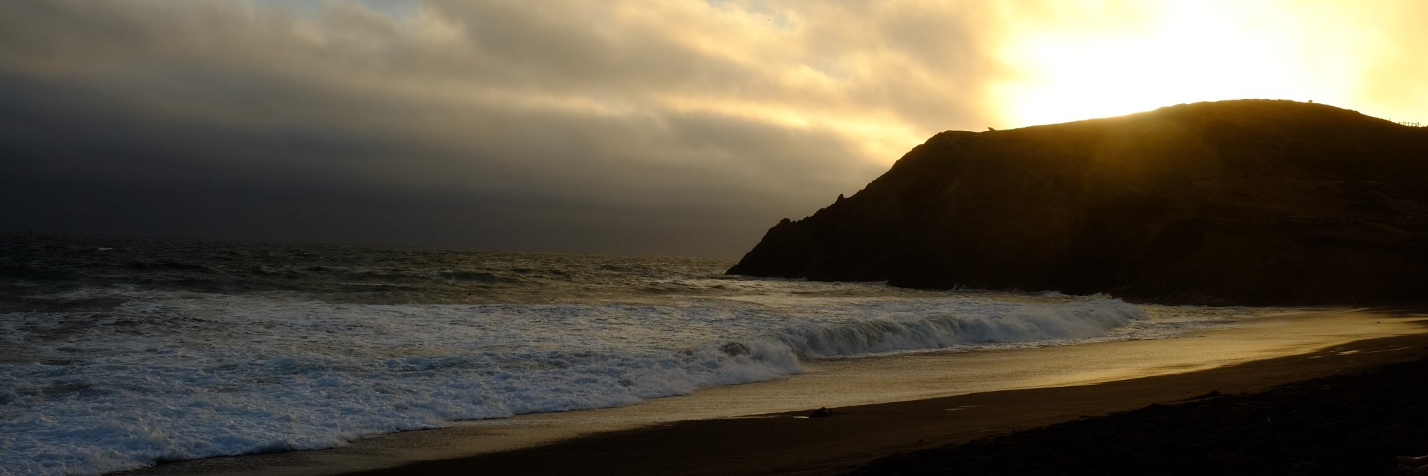 Stephanie Cain banner