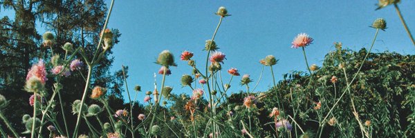 allwecansave Profile Banner