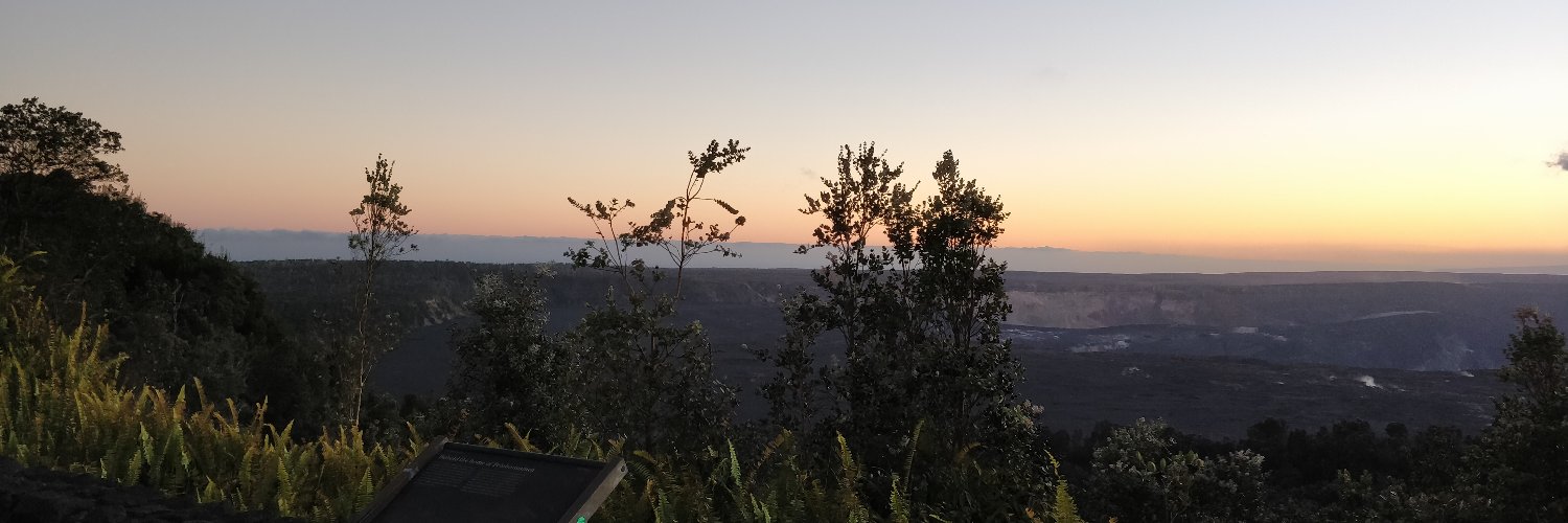 Gretchen Roche banner