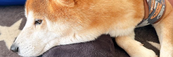 sum3sh1 Profile Banner