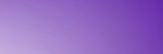 pizu banner
