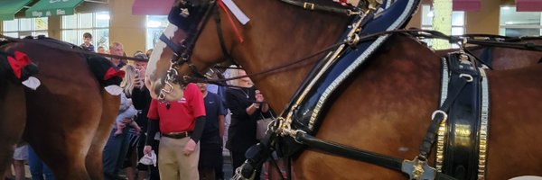 bkayvanwinkle Profile Banner