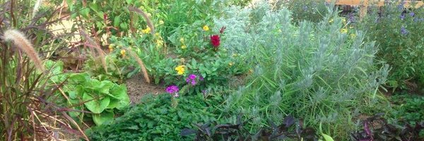 SusanBenesch Profile Banner