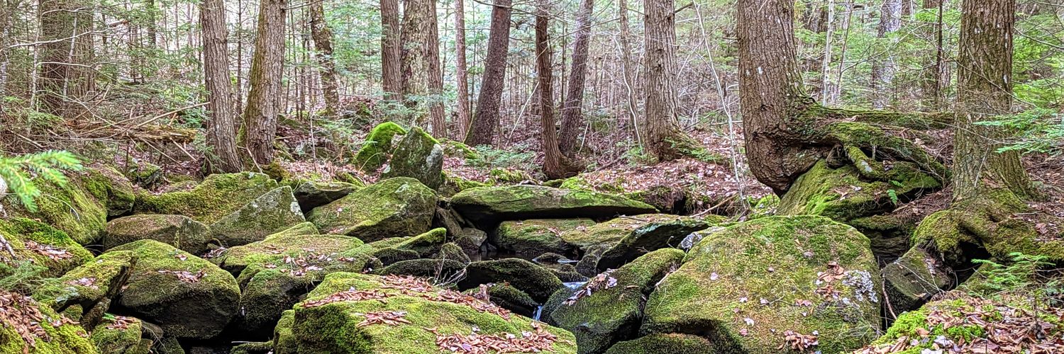 My Account Of This 🇺🇸 banner