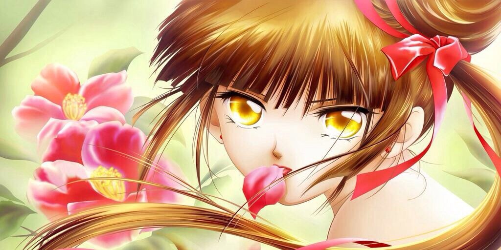 CuteKittyMeow1's profile banner image