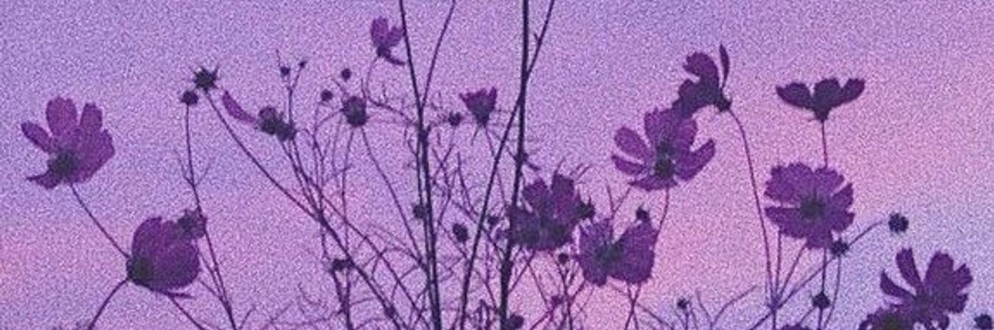 purplerrry's profile banner image