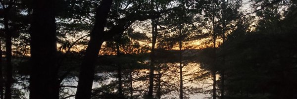 brucelourie Profile Banner