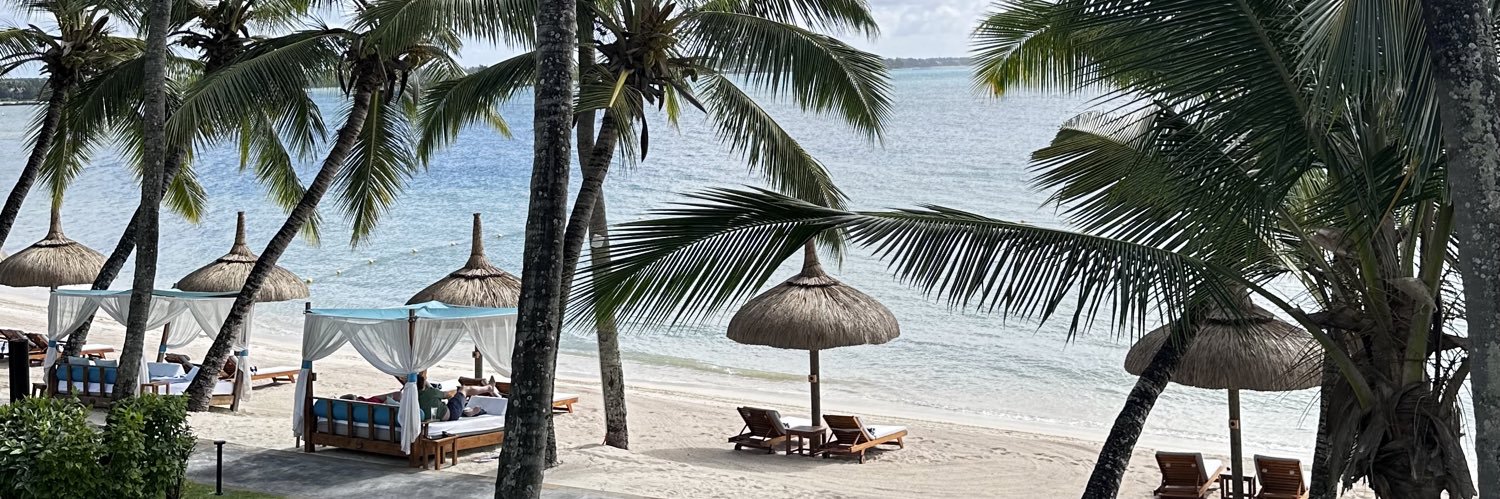 غيداء صالح banner