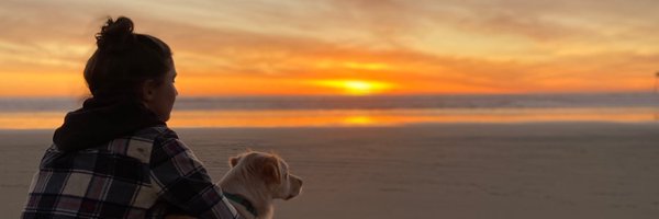 CatDonahue Profile Banner