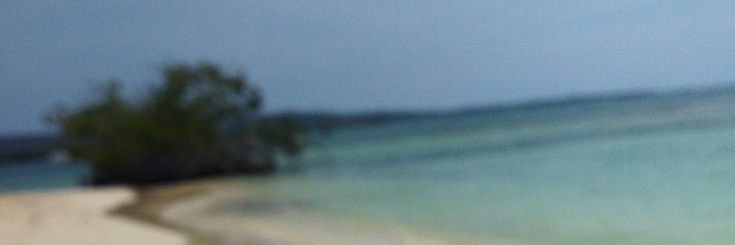 fjmolinv's profile banner image
