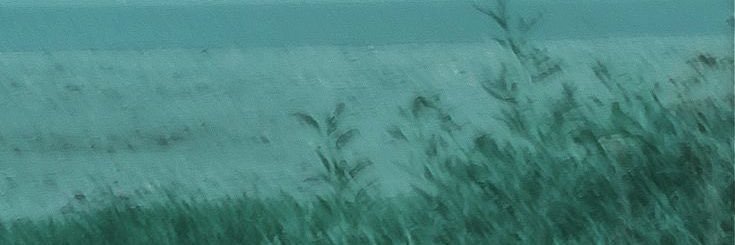 MidnightErick's profile banner image