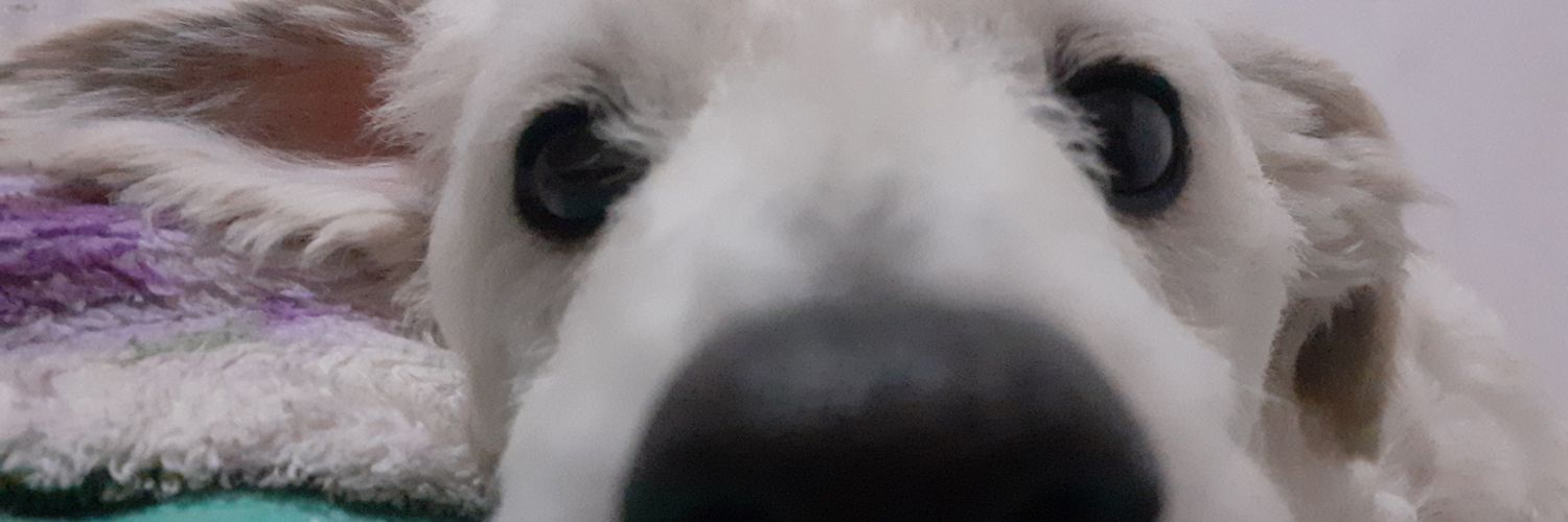 judithherreraaa's profile banner image
