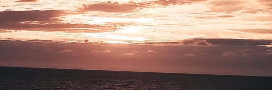 nicolevallejo's profile banner image