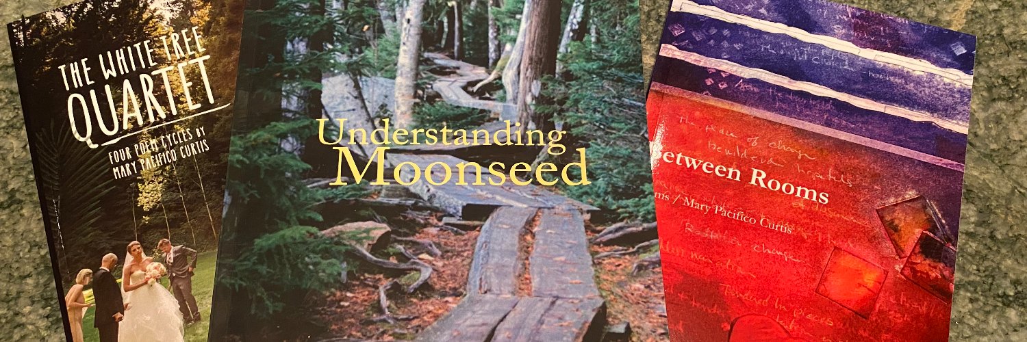 brandwisdom's profile banner image