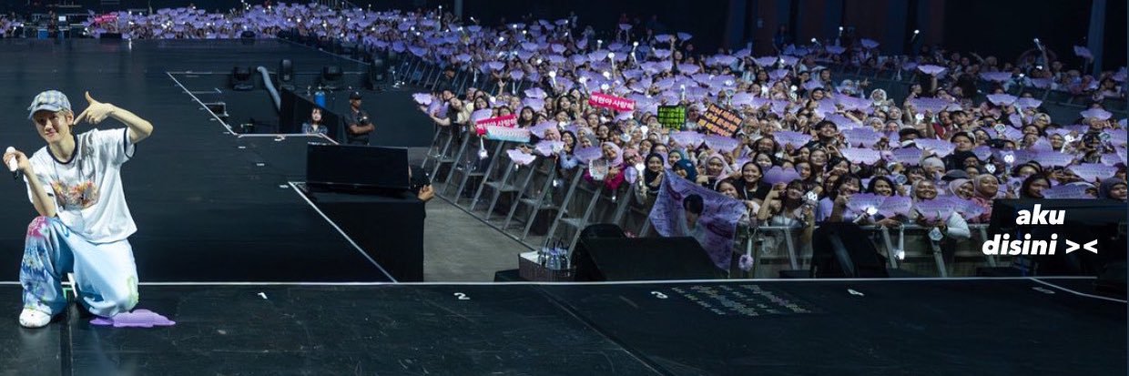 salsha banner