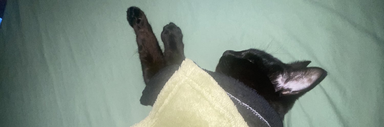 CauRamon4's profile banner image