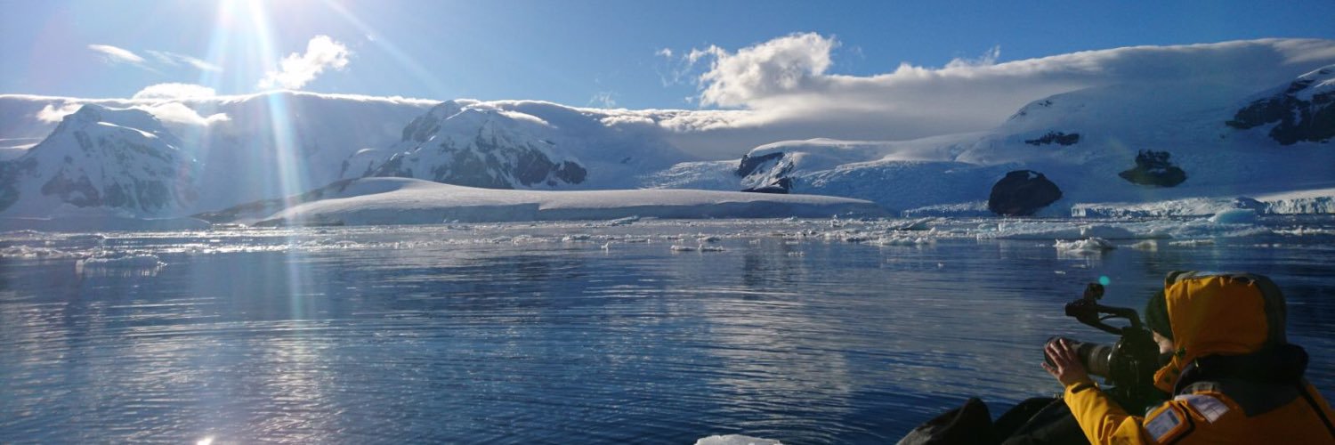 Dawn Rose Kelly banner