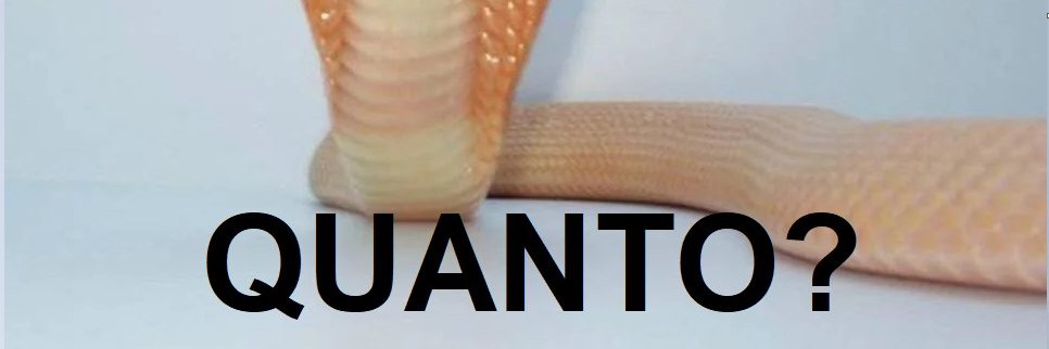 George Sampaio banner