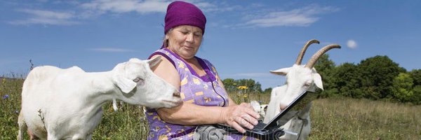 MashaParty Profile Banner