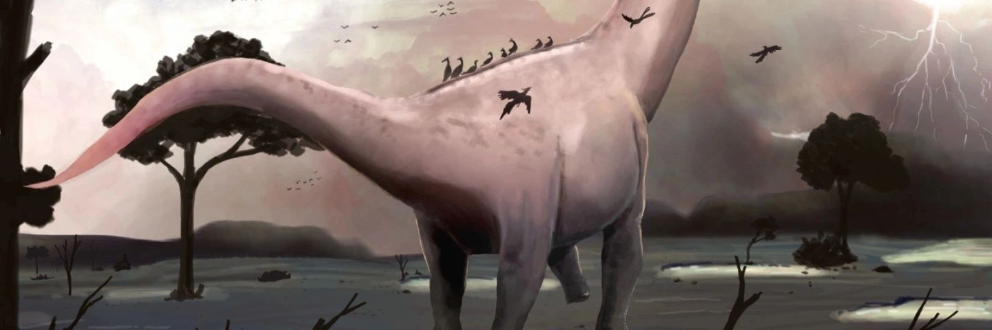 PaleoVidal's profile banner image