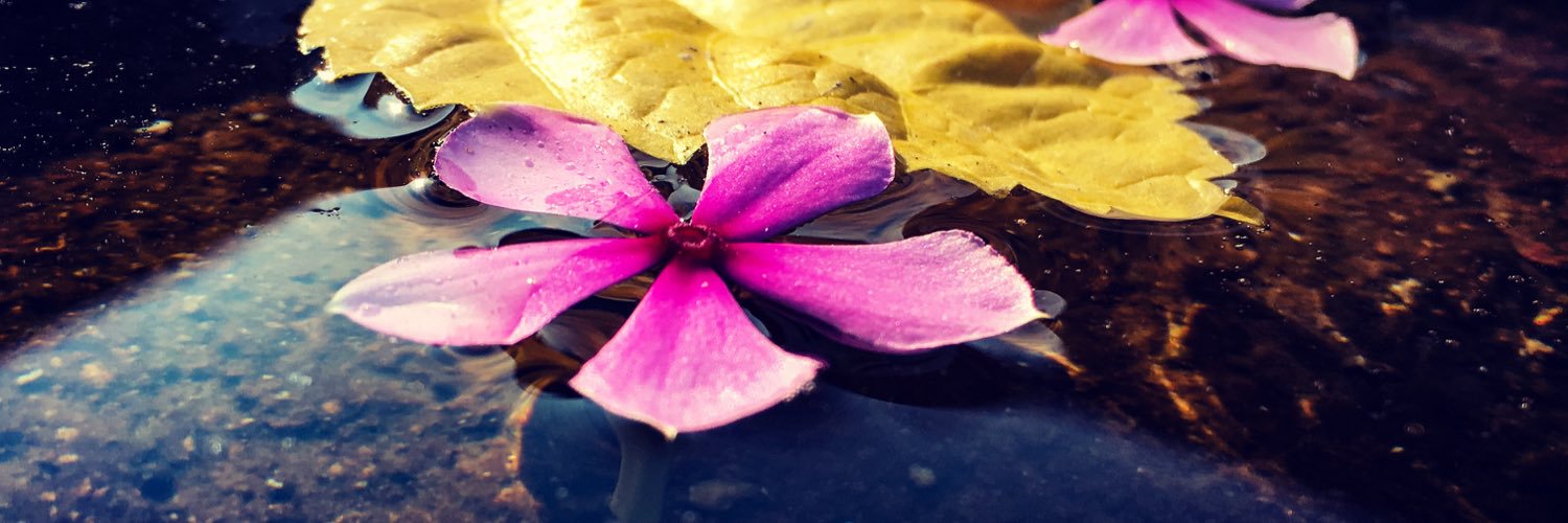UjjwalSpeed's profile banner image