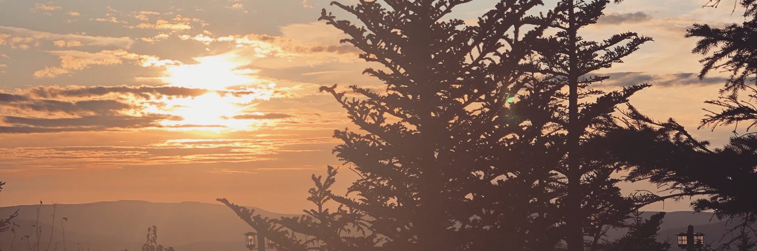 kellimsteele's profile banner image