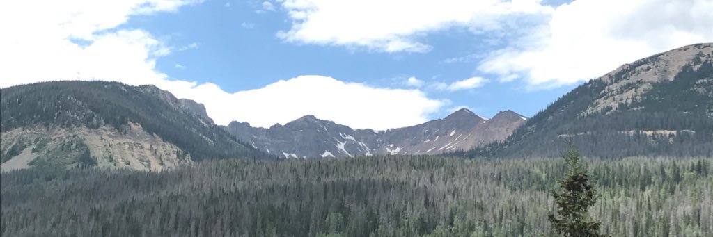 adodd97's profile banner image
