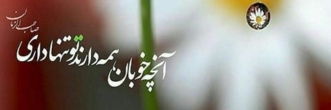 baran's banner