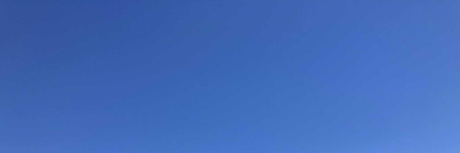 ugly currycel banner