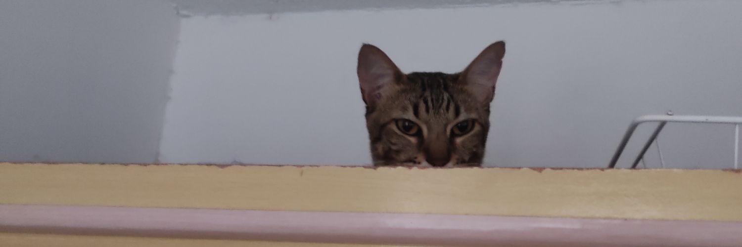 Mie 🏳️‍⚧️🏳️‍🌈🇵🇸 banner