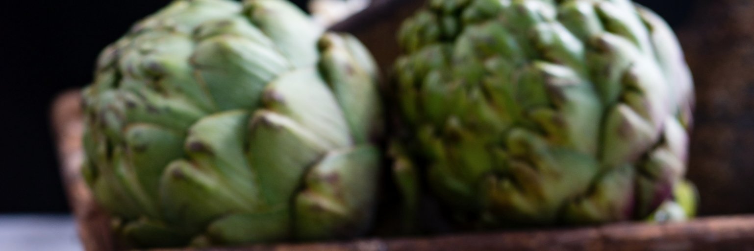 artichoke banner