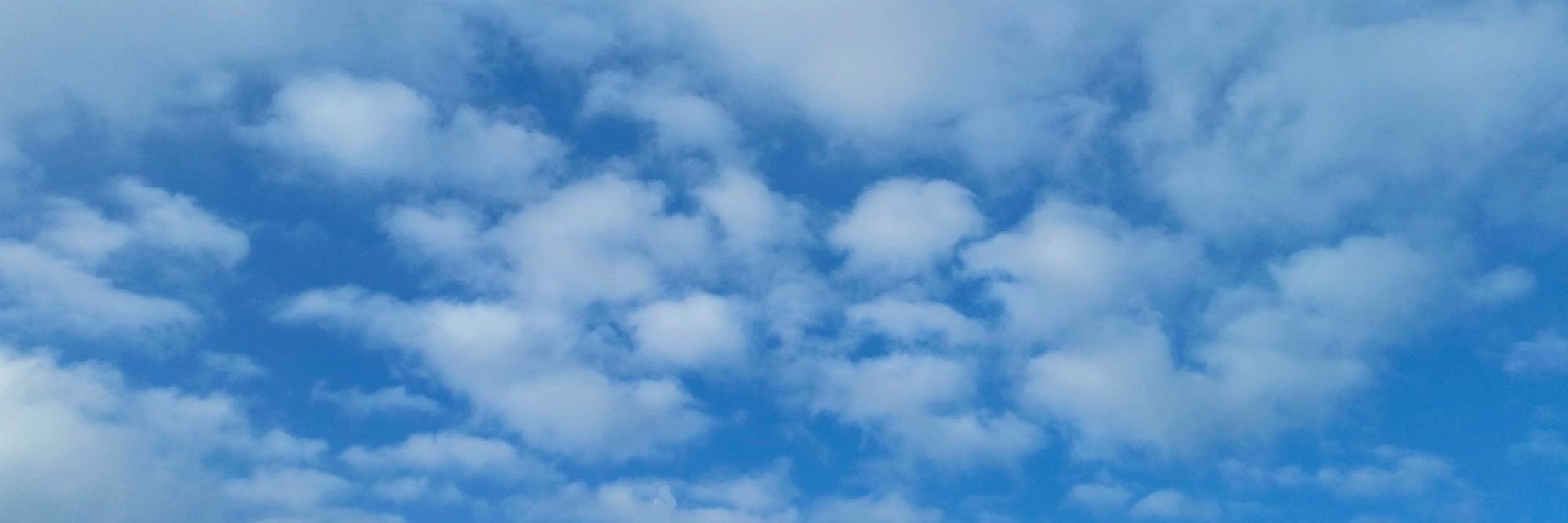 frankschoebel's profile banner image