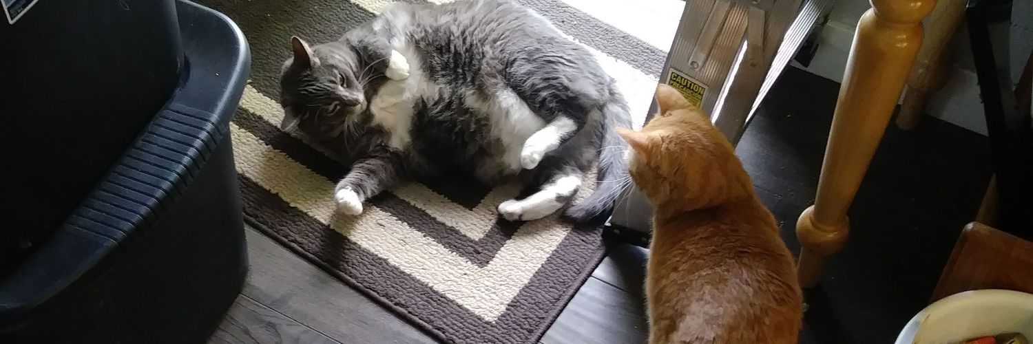 Kindral Bladewin banner