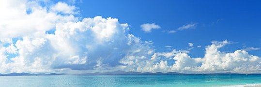 NotitwitsCoa's profile banner image