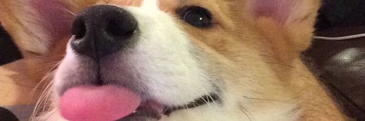aaaaaaaaa_sp's profile banner image