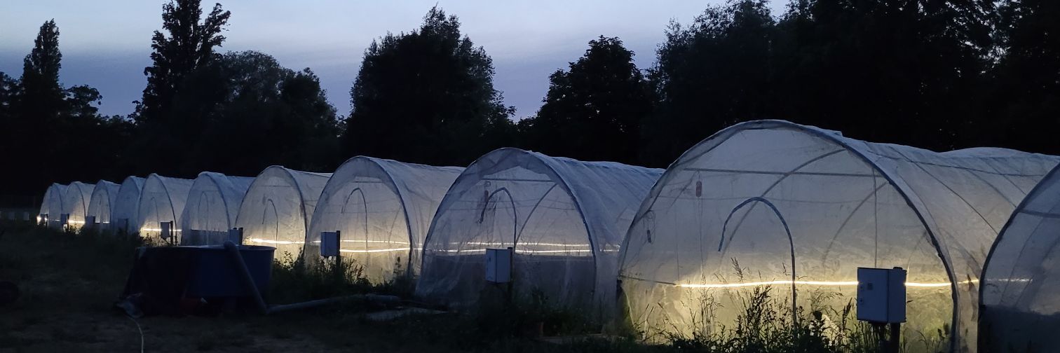 SystemLink - Research Training Group banner