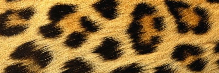 AdvovoKay's profile banner image