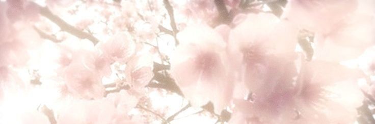 VENIAR_'s profile banner image