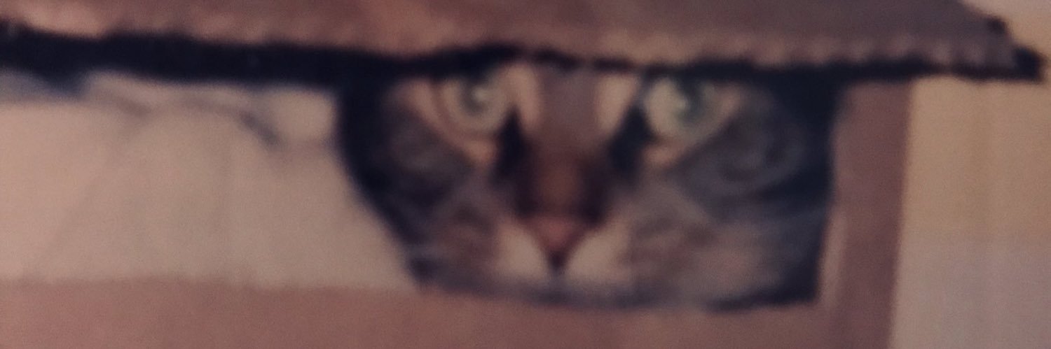 nattysaur's profile banner image