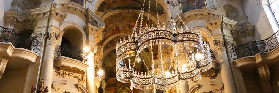 Millie Carroll banner