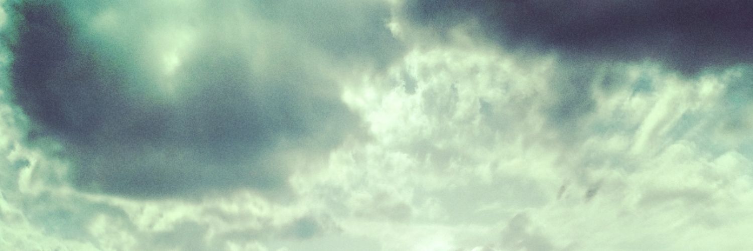 RobertaSabueso's profile banner image