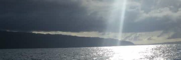 hamiltonramire's profile banner image